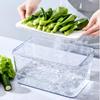 Frischebox in Lebensmittelqualität: Kühlschrank-Organizer für Obst & Gemüse