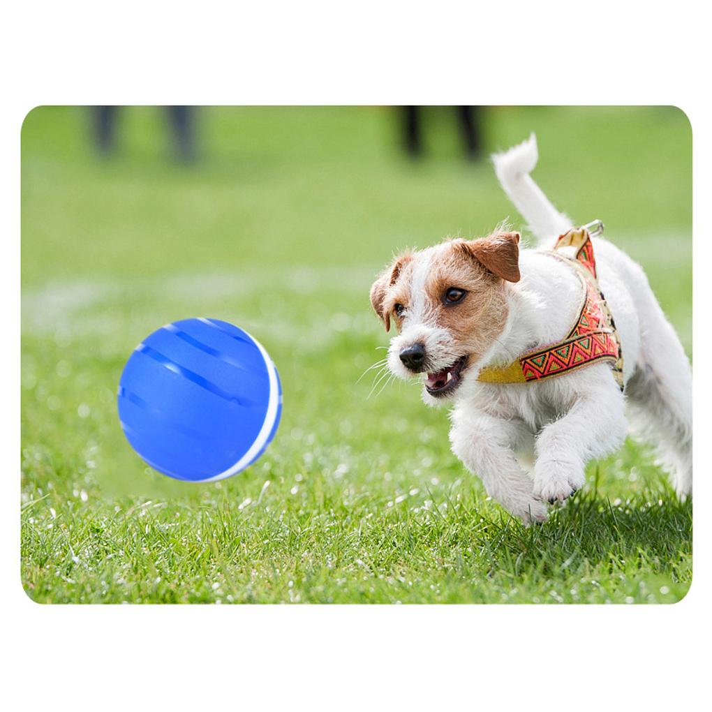 Pets Chasing Teeth Grinding Flashing Ball Indoor Courtyard Animal Fetching Balls Rechargeable USB Charging Toy