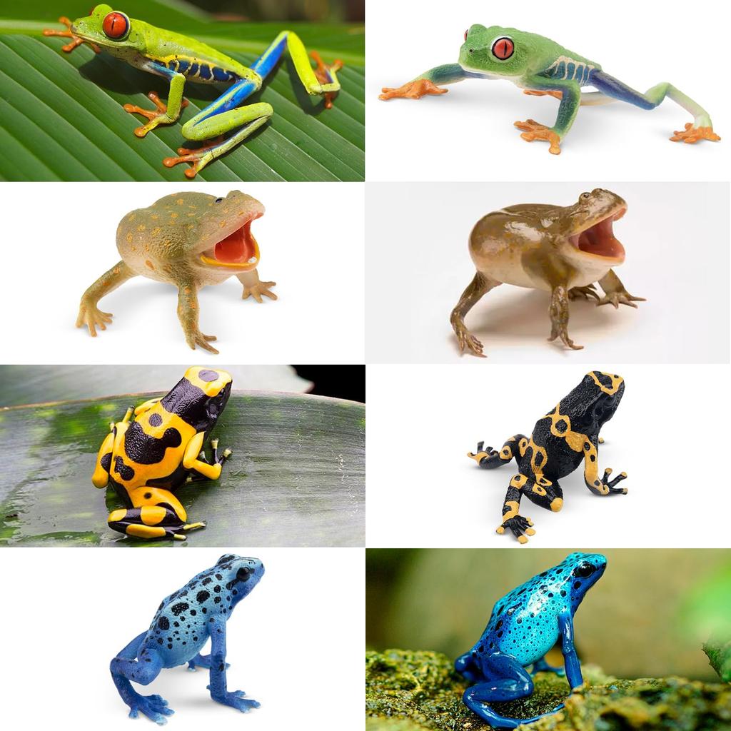 TOYMANY 12-Piece Frog Figure Set, Realistic Frog Model Figurines, Perfect for Birthdays, Christmas, New Years, Halloween, and More, Ages 6 and Up