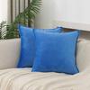 Throw Pillow Covers 16x16 Set Of 2 Velvet Decor Decorative Couch Cushion Pillowcases With Fringe Home Bed Decoration For Sofa Bedroom