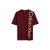 SS23 Letter Print Loose Round Neck T-Shirt Men Tops Maroon 40JM886-VLP