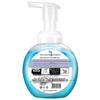Walch Healthy Care Foaming Hand Soap