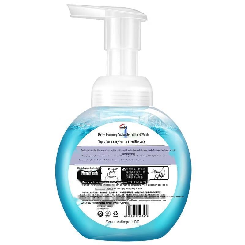 Walch Healthy Care Foaming Hand Soap