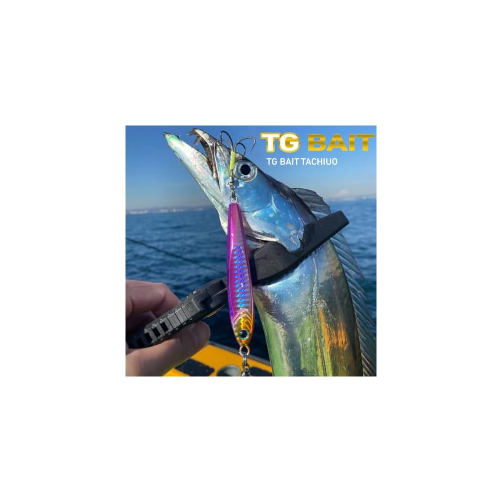 Daiwa TG Bait Tungsten Jig 120g PH Purple Queen Fishing Tackle