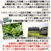 Healthy Company Organic Mulberry Leaf Powder 100g Organic Cultivation Mulberry Leaf Tea Powder Aojiru Domestic Ingredients Kagoshima and Other Regions