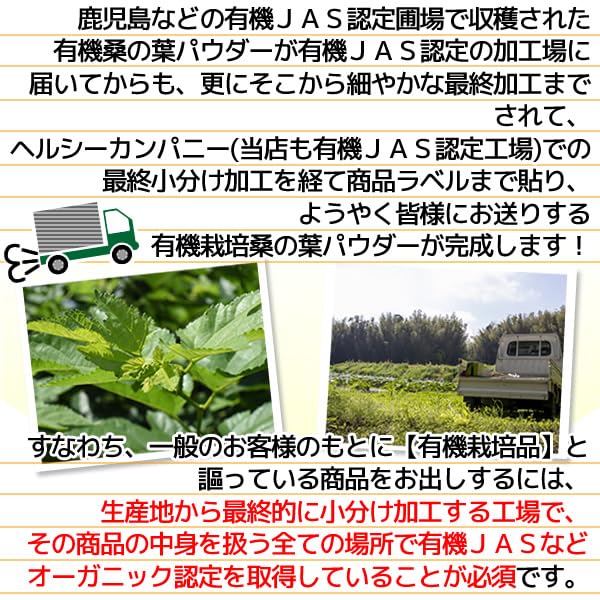 Healthy Company Organic Mulberry Leaf Powder 100g Organic Cultivation Mulberry Leaf Tea Powder Aojiru Domestic Ingredients Kagoshima and Other Regions
