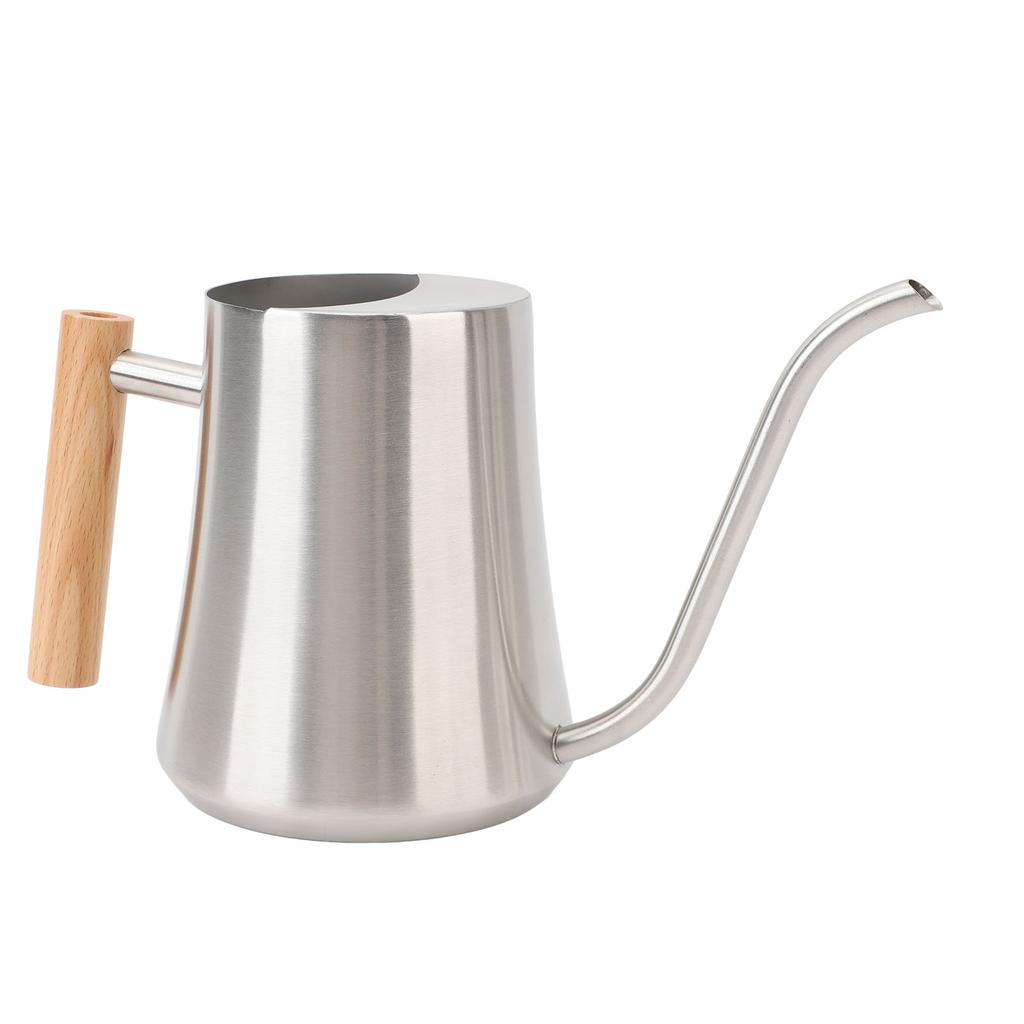 Indoor Watering Can Stainless Steel Wooden Handle Watering Pot with Spout for House Plants Flowers Succulents Bonsai 1L
