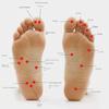 Trigger Point Reflexology Foot Acupressure Massager Raised Foot Roller Massager  Office Home