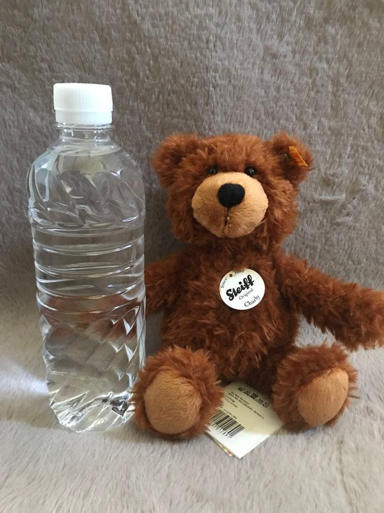 [USED] Steiff Charlie Teddy Bear Plush Toy, 23cm, Discontinued