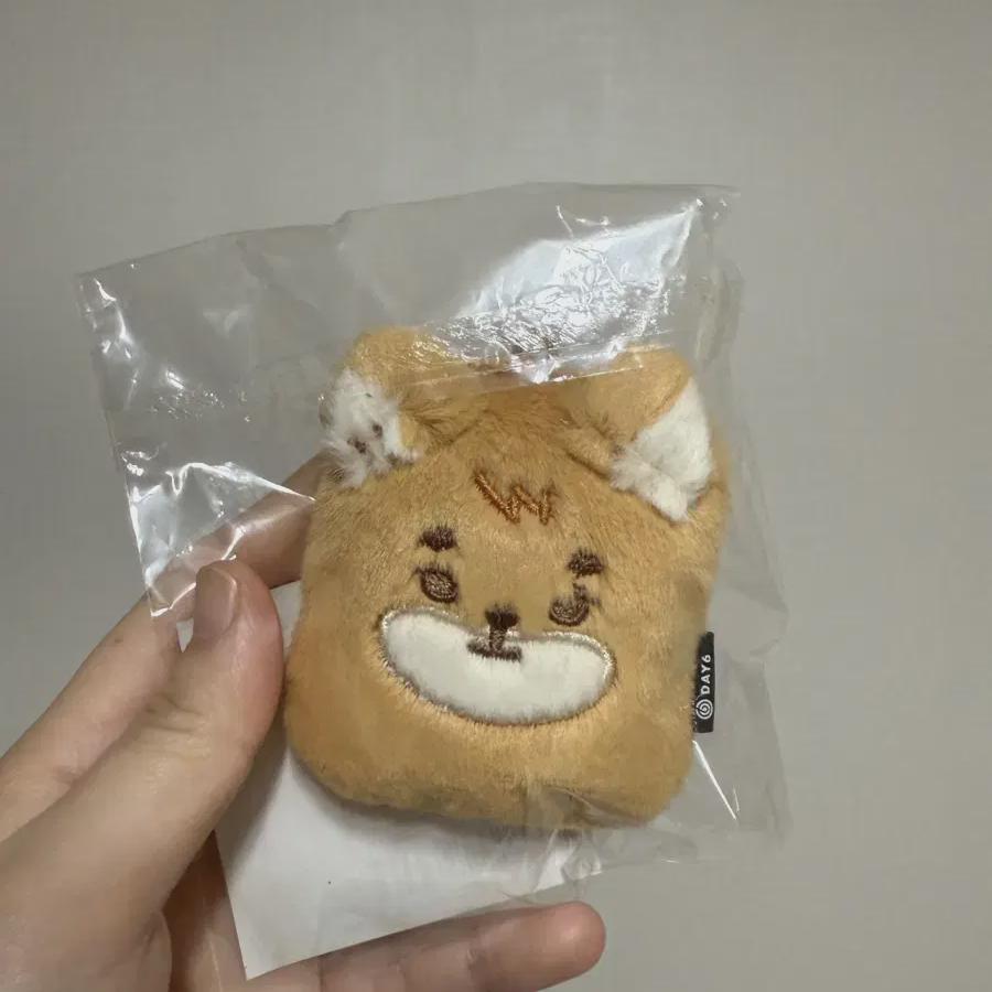 DAY6 Petitmles Id Holder K