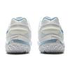 Li Ning Cushioning Slip Resistant Coverage Low Top Badminton Shoes Unisex Standard White AYTV003-1