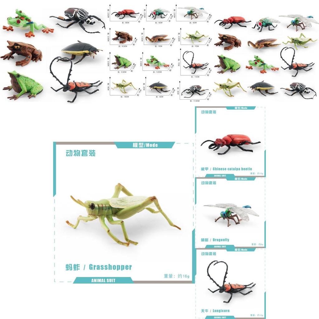 Realistic Pvc Insect Model Set Including Rhinoceros Beetle And Dragonfly For Decoration