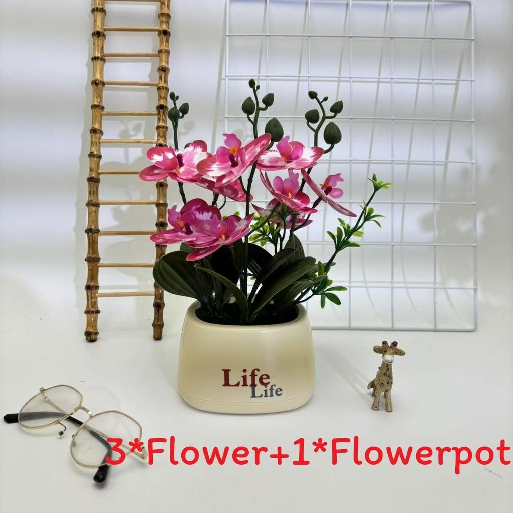 Butterfly Orchid Artificial Plant For Photography Decor And Home Styling
