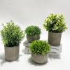 "Tuokus" Artificial Plant Set of 4 - Artificial Flowers, Potted Plants, Photocatalytic, Fake Greenery, Stylish Interior Decor, Green Decoration, Never