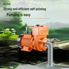 220V Self-Priming ZDK Agricultural Centrifugal Pump for Sewage and Clean Water, Large Flow