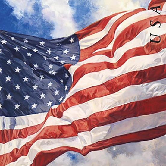 40Pcs Stamp Sticker American Flag Pattern Clear Print Water Sun Resistant Peel Fade-Proof Traceless Stamps