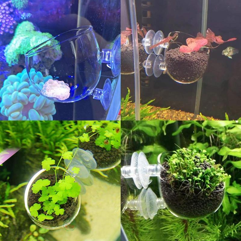 Aquarium Decoration Plant Cup Pot Live Plants Fish Tank Holder Glass Aquatic Plant Pot with Suction Cups Aquarium Decor Tool