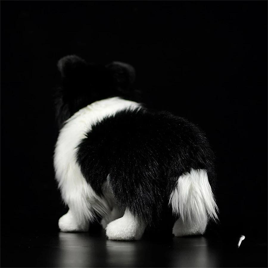 Border Collie Hohe Treue Anime Niedlicher Plüschtier Schäferhund Plüschtiere Lebensechte Tiere Simulation Stofftier Kawaii Spielzeug Geschenke