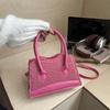 Plush Fashion Handbag 2025 Autumn New Niche Design Versatile Ins High Value Messenger Bag Small Square Bag