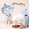 Kedi – Kedi bakım ürünleri