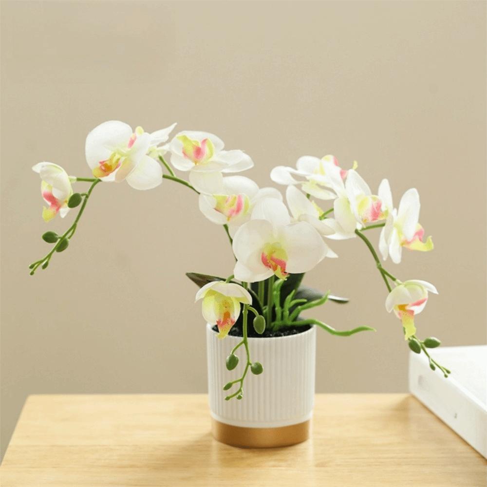 

Simulated Silk Butterfly Orchid Potted Plant Fake Phalaenopsis New Bonsai Orchid білий