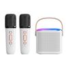 CrossY1 Wireless Bluetooth Subwoofer Speaker with Outdoor Handheld Portable Audio and Built-in Microphone
