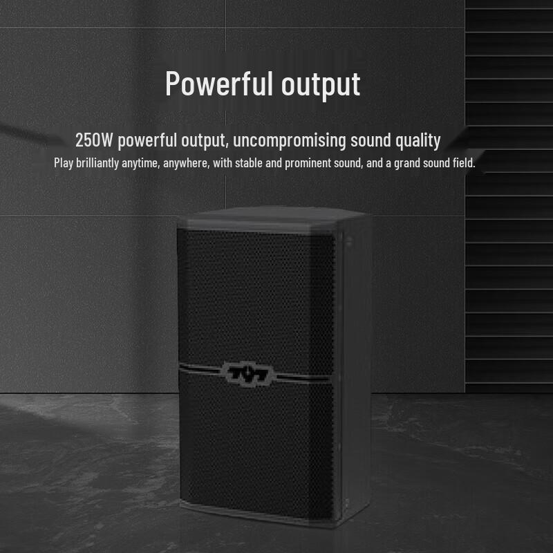 797audio ES10 Professional Stage Speaker (CN Version)