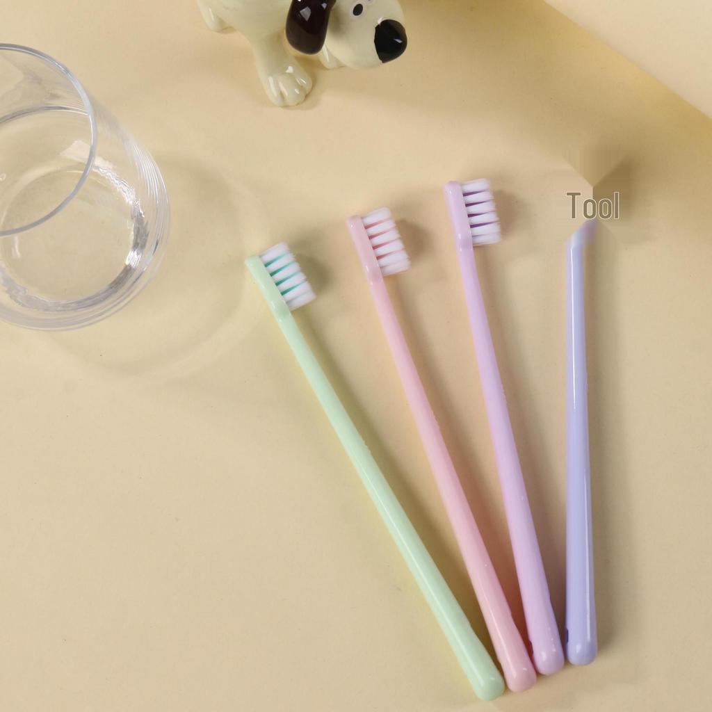 Macaron Color Soft Bristle Toothbrush Family Pack - Adults, Couples & Students, Travel-Friendly