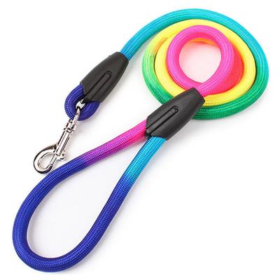 Cani – Collari e guinzagli per cani