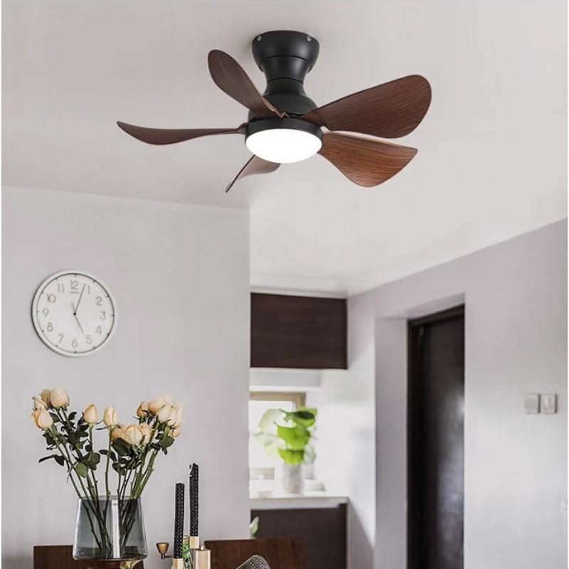 22/29 inches DC Motor Ceiling Fans With Remote Control Modern Mini Corridor Smallhouse Nickel Ceiling Fan With LED Lights