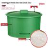 Anvelo Hydroponic Sprout Growing Jar