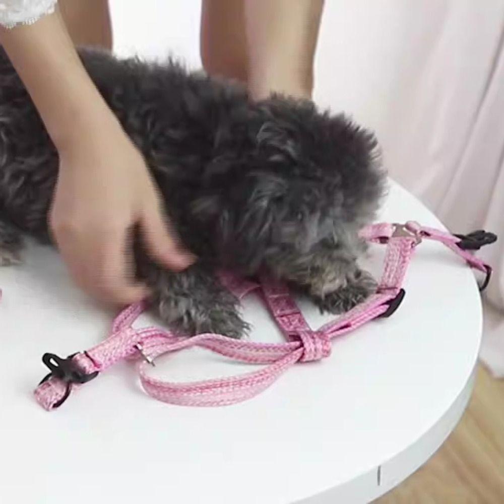 Lightweight Pet Chest Strap Escape Proof Cat Collar Lead Leash Dog Harness and Leash Set Walking