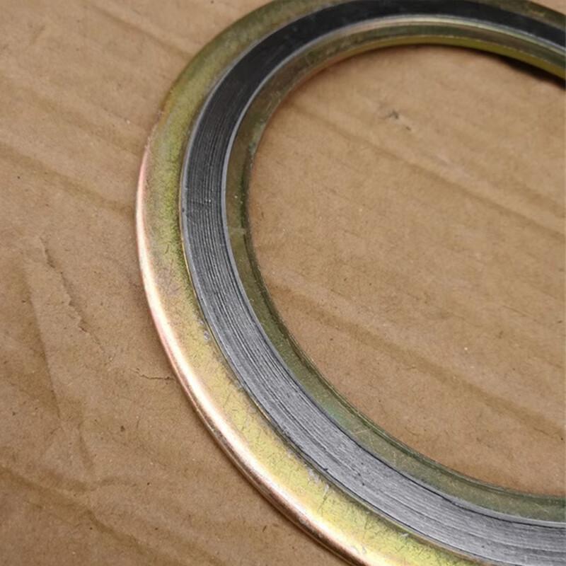 Bishaer Metal Graphite Spiral Wound Gasket