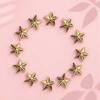 200Pcs Acrylic Star Ornaments Lightweight Easy to Use DIY Craft Charm Clothing Accessories DIY Crafts Supplies Star Shape Decor