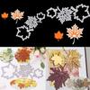 New 3pcs Maple Leaf Metal Cutting Dies Stencil Scrapbooking Card Embossing DIY