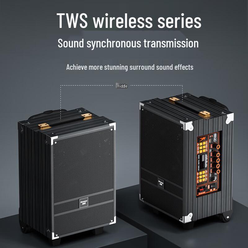 Newsmy N518 8-inch Portable Trolley Bluetooth Speaker CN plug (adapter included)