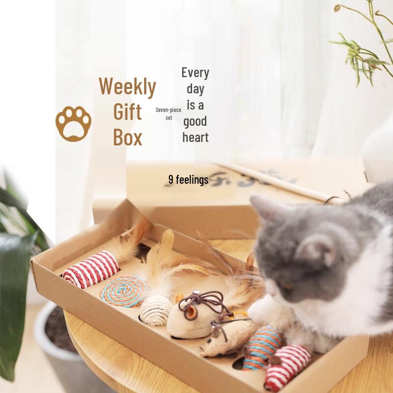 Hoopet 7-Piece Kitten Play & Teaser Toy Set