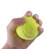 Non-Toxic Pet Playing Balls Elasticity Practice Ball New Tennis Balls  Outdoor