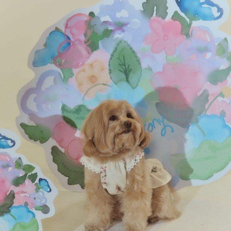 BALCONY in SUITE 4659 BESHO DOG One Piece CREAM