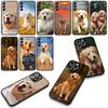 Phone Cover Cute Animal Golden Retriever Dog for Apple iPhone 17 16 11 Pro XS Max XR 6 7 8 Plus + 16E SE 2020 Air 5 8+ Case