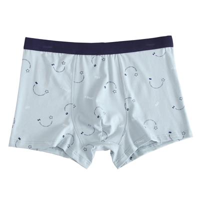 Sexy Herrenunterwäsche aus Baumwolle, atmungsaktiv, mit Aufdruck, Übergröße, flache Unterhose für Männer, mittlere Taille, lockere Passform, dicke Kerle, Jugendliche, Höschen mit vier Ecken