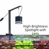 Peixes e animais aquáticos – Iluminação de aquário