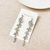 Long Tassel Earrings Zircon Hoop Earrings Rhinestone Earrings Chic Elegant Stud Earrings Stylish Jewelry for Women