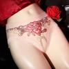 Open Crotch Underwear Women Sex Panties Erotic Lingerie Ladies See Through Mesh Underpants Woman Hollow Out Briefs Sheer Knicker