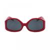 Jacquemus Sunglasses Geometric Full Rim  Shiny Black Frame And Brown Lens Jac 15c1 Beige