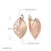 New Glossy  Rose Gold Color Dangle Earrings For Women Hollow Flower Natural Zircon Ethnic Earrings Boho Jewelry