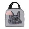 Französische Bulldogge Welpe Gesicht Isolierte Lunchtasche für Arbeit Schule Picknick Wiederverwendbare Tragbare Thermokühltasche Lunchbox für Frauen Kinder