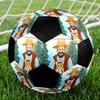 Pettson and Findus Theme Size 5 Soccer Ball, Suitable for Both Indoor and Outdoor Matches, a Gift Suitable for Everyone.