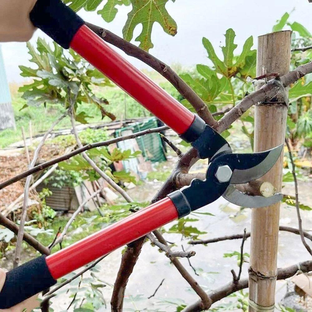 Non Slip Portable Pruner Long Handle High Branch Shear Coarse Branch Cutter Fruit Tree