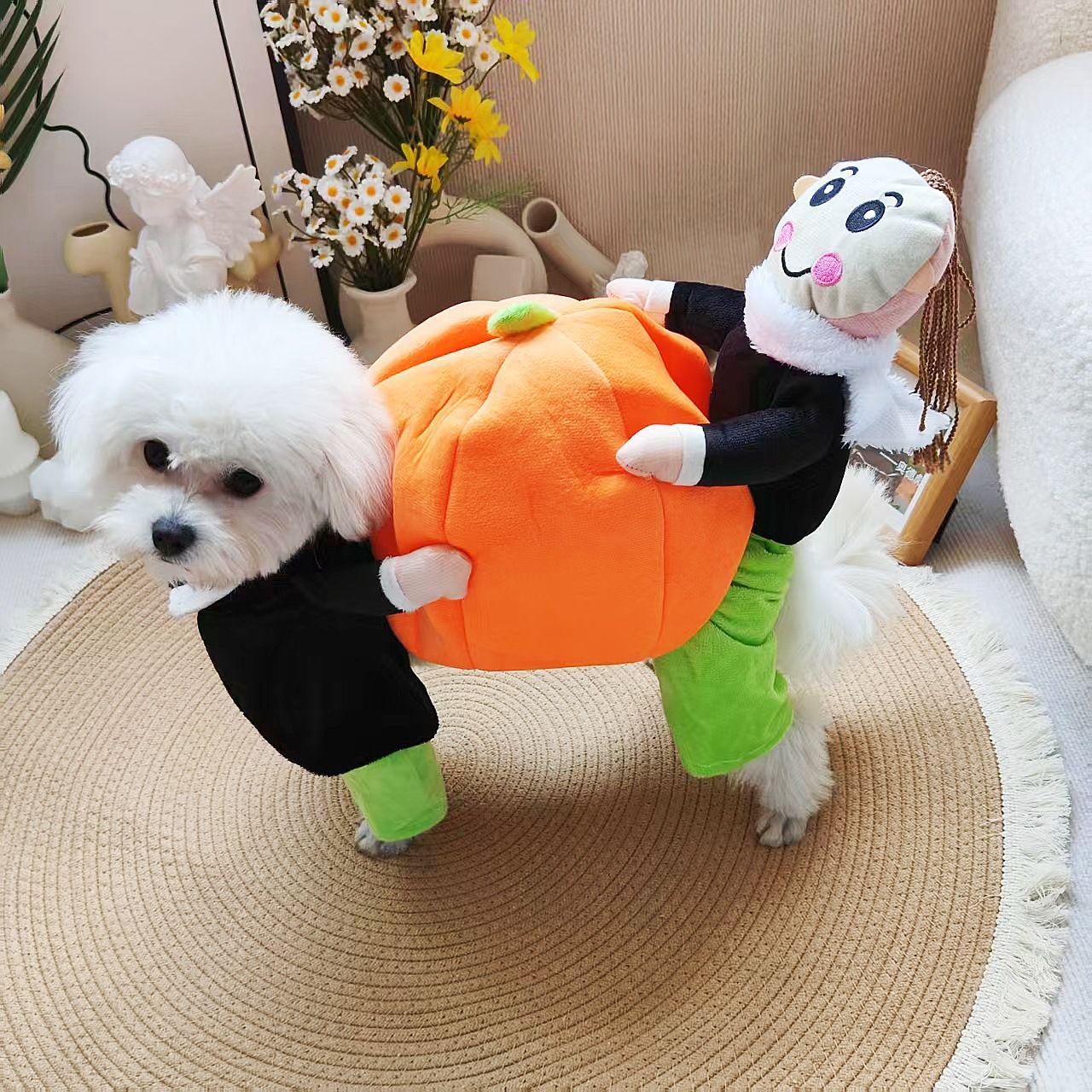 

Halloween Teddy Poodle Costume with Pumpkin for Dogs S - 30cm back length